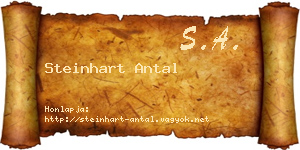 Steinhart Antal névjegykártya