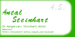 antal steinhart business card